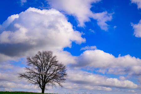 Landschaft kann so romantisch sein! Wolken ziehen über einen einzelnen Baum im südöstlichen Brandenburg. 