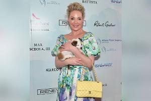 Katherine Heigl verteidigt Auftritt in Trumps Mar-a-Lago