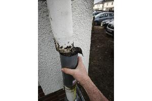 Bei der Rettung (Foto: Feuerwehr Westercelle)