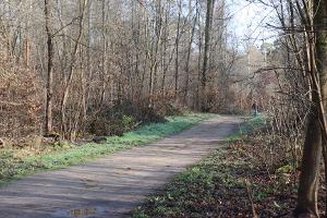 Die Ermittler haben erste Details nach dem Fund einer toten Frau in einem Wald bei Mannheim bekanntgegeben.