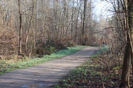 Die Ermittler haben erste Details nach dem Fund einer toten Frau in einem Wald bei Mannheim bekanntgegeben.