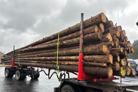 Holztransport massiv überladen - Gesamtgewicht 61.200Kg