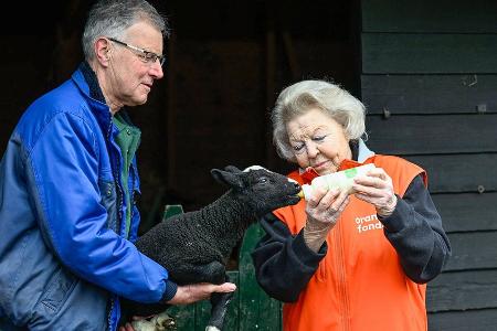 Prinzessin Beatrix hilft auf dem Bauernhof mit