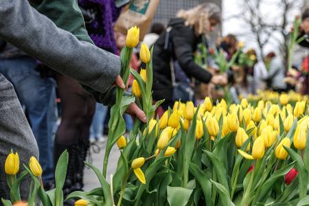 Besucher des "Tulip Day Berlin" am Breitscheidplatz wählen aus dem bunten Blumenangebot ihre Tulpen aus.