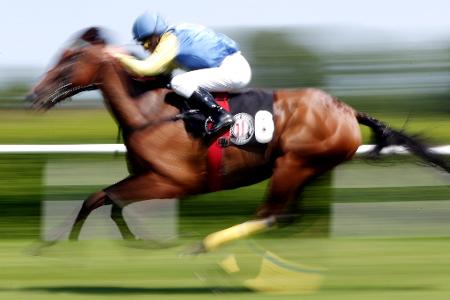 In einer Suppenküche findet ein Gast in seinem Essen den Mikrochip eines ehemaligen Rennpferdes. (Symbolfoto)