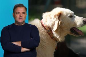 "Die Unvermittelbaren - Mit Martin Rütter