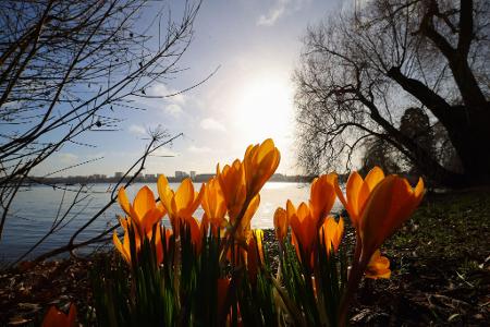 In der nächsten Woche wird es wieder wärmer und sonniger.