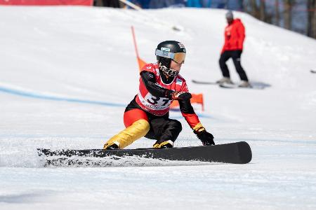 Snowboard: Hofmeister fährt erneut aufs Podest