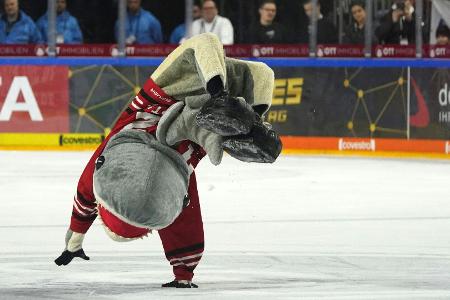 Eishockey: Trotzen die Eisbären erneut dem Orakel?