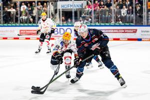 DF1 überträgt DEL-Playoffs im Free-TV