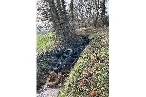 ca. 40 Autorreifen im Wassergraben