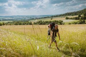 Wandern, Mann, Spessart, Räuberland, Rothenbuch
