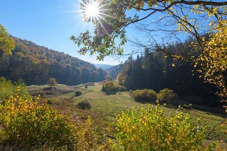 Herbststimmung in Rothenburg, Spessart