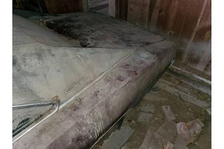 Dodge Charger Scheunenfund