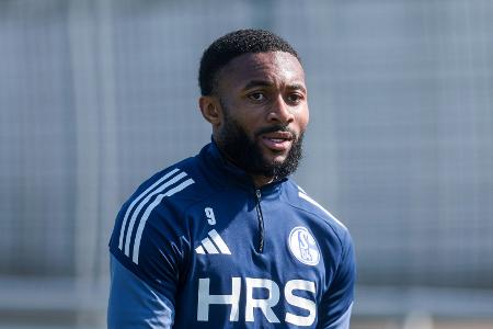 Schalke: Sylla soll Dzeko in Darmstadt ersetzen