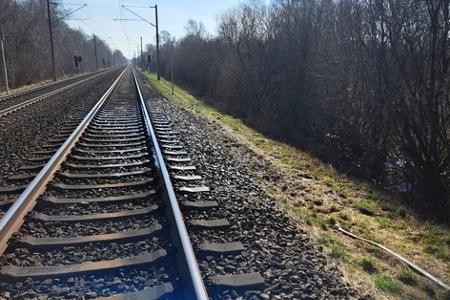 Böschungsbrand bei Owschlag
Foto Feuerwehr Owschlag