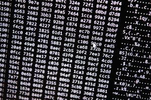Neue Tools ermöglichten einen Schlag gegen ein Betrugs-Netzwerk im Darknet. (Symbolbild)