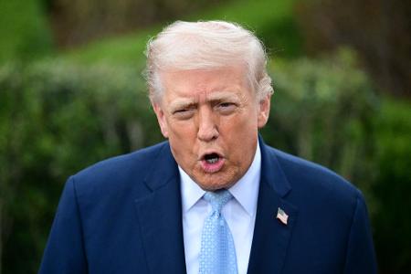US-Präsident Trump will, dass Beamte der umstrittenen Behörde ICE sich um die Sicherheit an Flughäfen kümmern. (Archivbild)