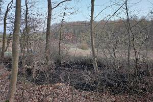 Foto der Brandörtlichkeit