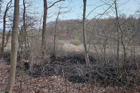 Foto der Brandörtlichkeit