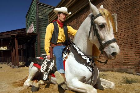 Die Daltons gegen Lucky Luke (2004)