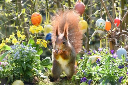 Ostern steht vor der Tür. (Archivbild)