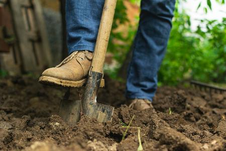 Vorbereitung des Bodens