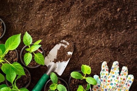 Anbauen, teilen und versetzen