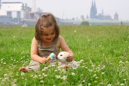Kleine Mädchen auf Wiese will Hund mit Eis füttern, im Hintergrund der Kölner Dom
