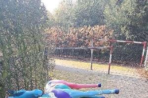 Das beschädigte Deko-Pferd.