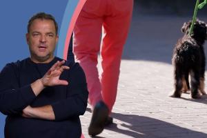 "Die Welpen kommen - mit Martin Rütter"