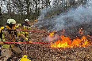 Waldbrand zwischen Asternweg und Scheerholz