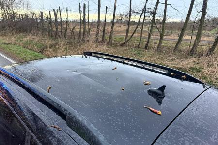 Skoda - Beschädigungen am Dach