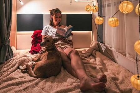 i_Camping_mit_Hund_Hundedecke