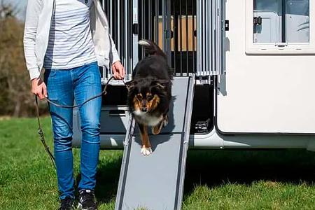 Reisen mit Hund Rampe