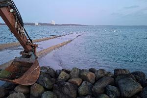 Am Freitagmorgen war der Wal nicht mehr zu sehen.