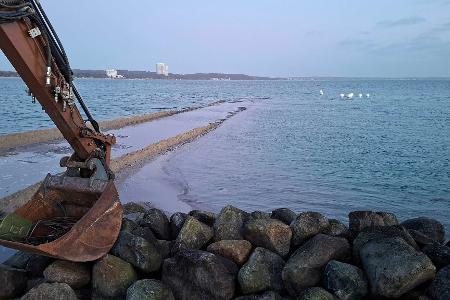 Am Freitagmorgen war der Wal nicht mehr zu sehen.