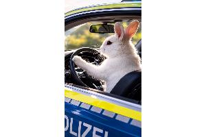 Osterhase im Streifenwagen