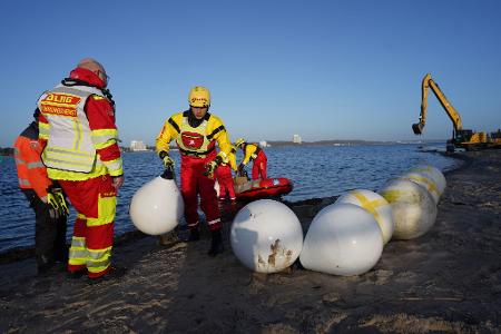 Experten versuchten tagelang das gestrandete Tier zu retten.