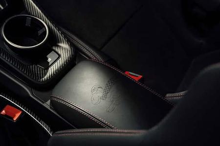 Porsche 911 S/T Sonderwunsch Camel GT (2026)