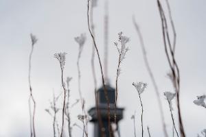 Das Wetter zum Wochenende wird wechselhaft.