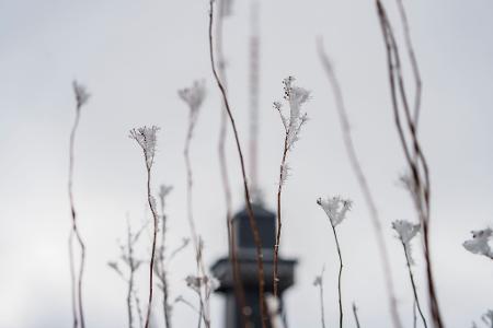 Das Wetter zum Wochenende wird wechselhaft.