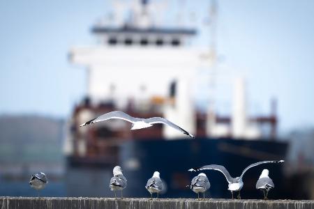 Das Wetter zum Wochenende wird wechselhaft.