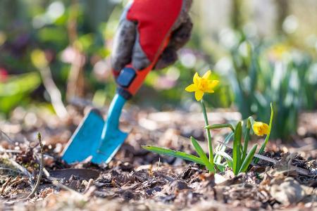 Jetzt ist Zeit für Gartenarbeit. (Symbolbild)
