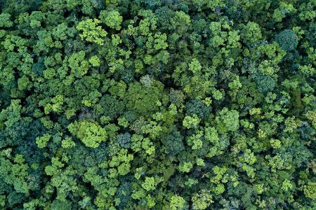 Therapiezentrum Wald