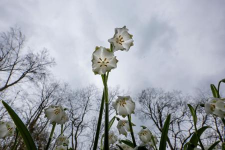 Das Wetter in Deutschland zeigt sich in den kommenden Tagen von seiner ungemütlichen Seite. (Symbolbild)