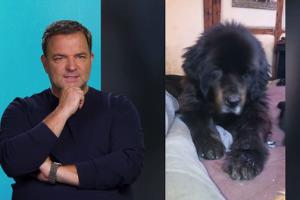 "Die Unvermittelbaren" - Mit Martin Rütter