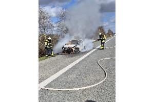 Die Feuerwehr bei den Löscharbeiten