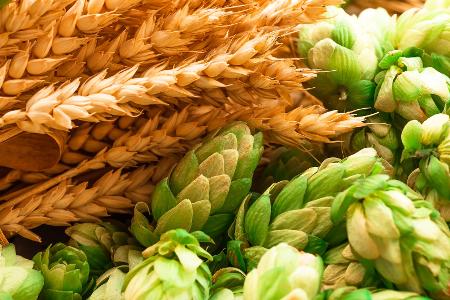 Deutsches Reinheitsgebot