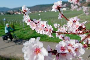 Im März lockte das Wetter bereits zu vielen Aktivitäten ins Freie. (Archivbild)